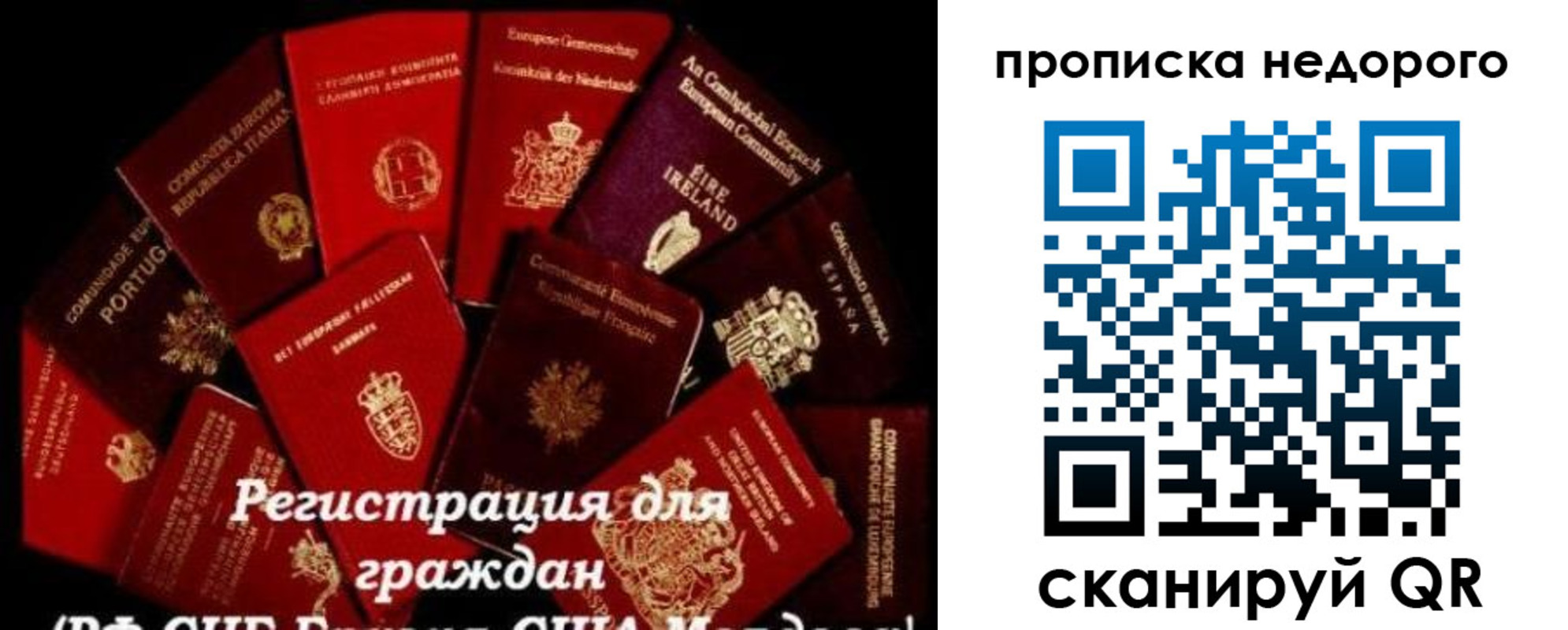 временная регистрация недорого в Дагестане